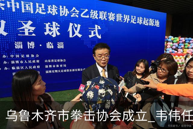 乌鲁木齐市拳击协会成立 韦伟任会长