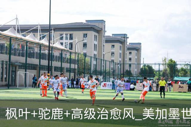 枫叶+驼鹿+高级治愈风 美加墨世界杯加拿大赛区开幕